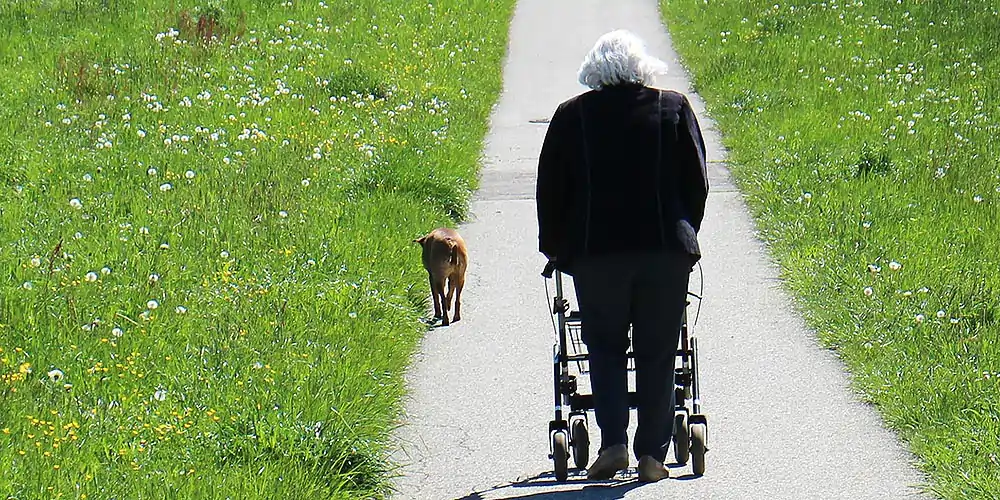 Seniorin mit Rollator auf einer Wiese unterwegs